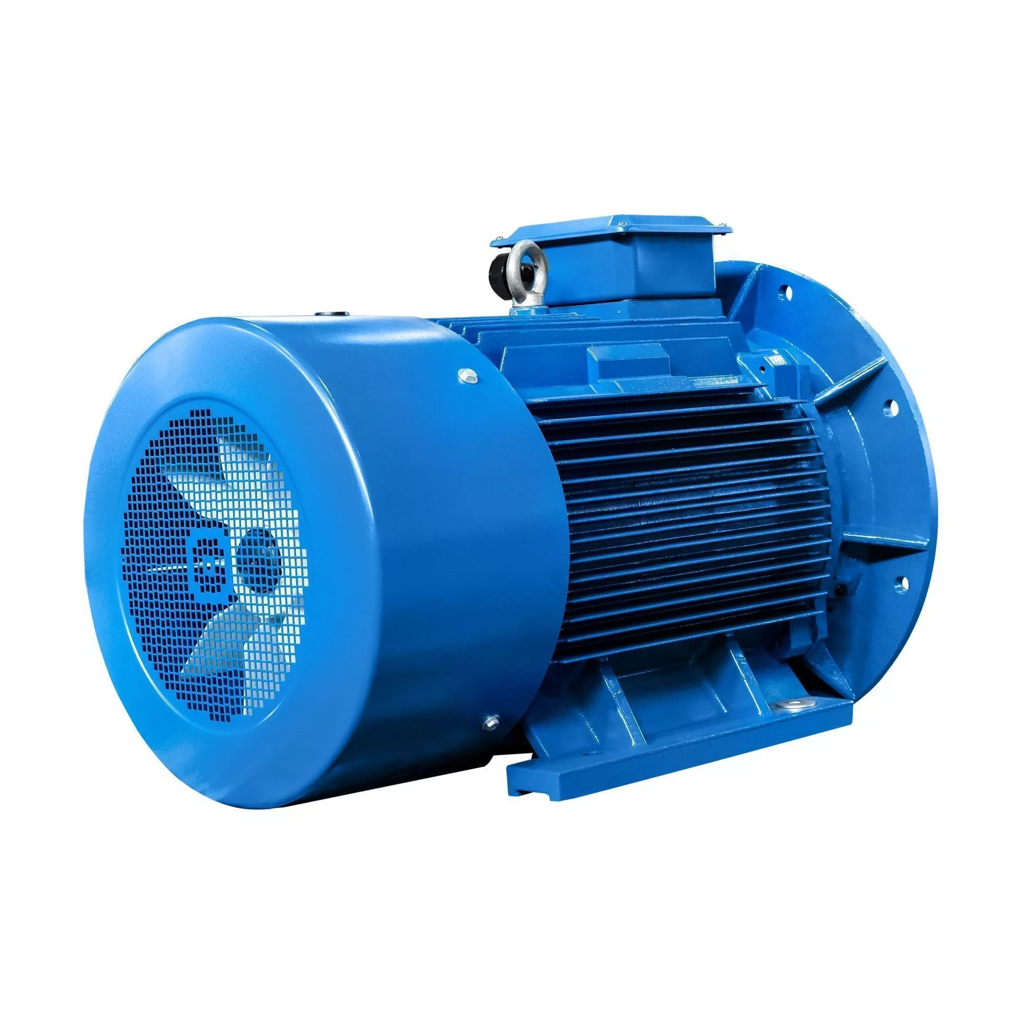 5АИ 315 S2 160/3000 IM2001